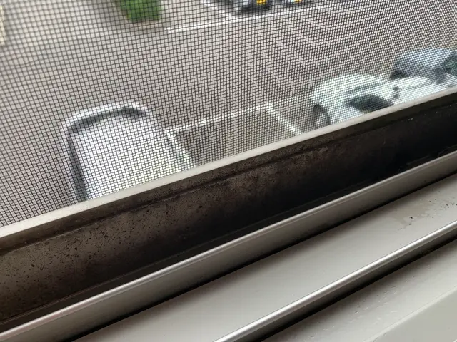 大掃除シーズン間近！窓をキレイにして、快適に、爽やかに♪サービスの画像