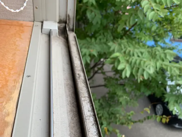 大掃除シーズン間近！窓をキレイにして、快適に、爽やかに♪サービスの画像