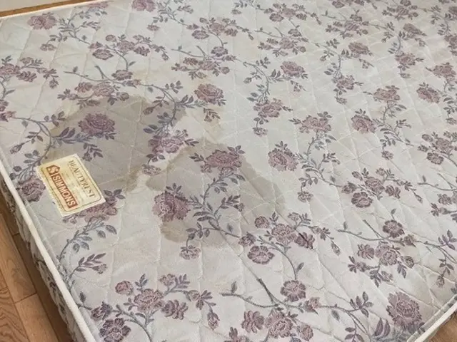 くらしのマーケットマガジン掲載中！シミ・臭い・汚れ退治致します【カード可】サービスの画像