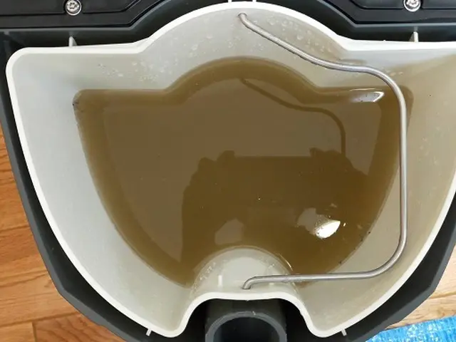 くらしのマーケットマガジン掲載中！シミ・臭い・汚れ退治致します【カード可】サービスの画像