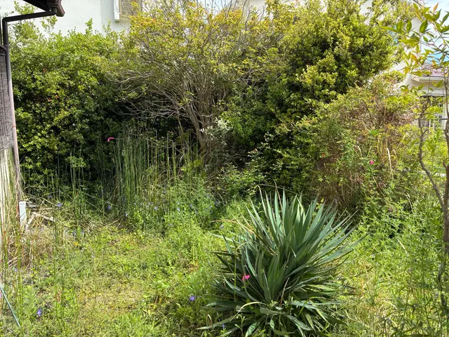 植木屋歴24年、桝谷造園は夫婦2人で運営している小さなお店です。一級造園技能士保サービスの画像