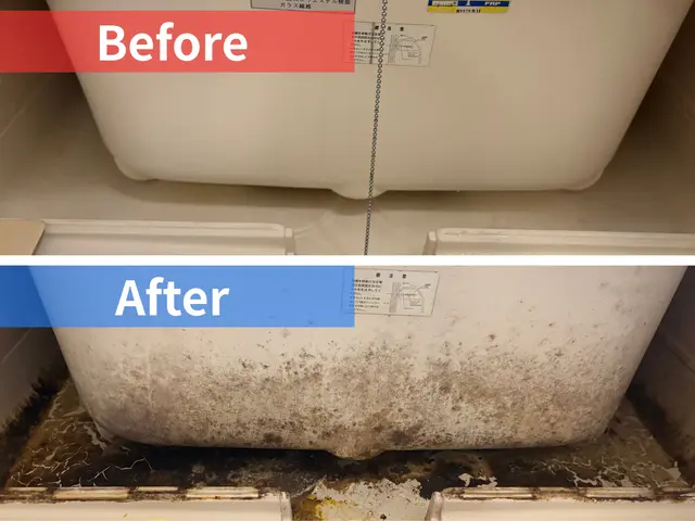 【国家資格技能士対応】自社スタッフが仕上げる空室クリーニング！サービスの画像