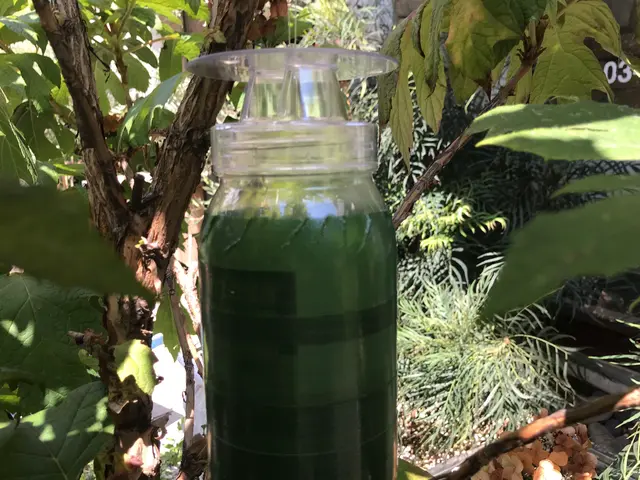 見積無料【徹底駆除】適正価格／実績多数／カード対応／損保加入／プライバシー厳守サービスの画像