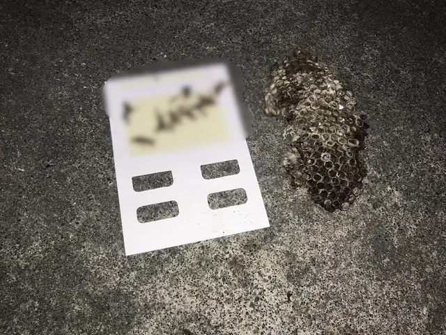 見積無料【徹底駆除】適正価格／実績多数／カード対応／損保加入／プライバシー厳守サービスの画像