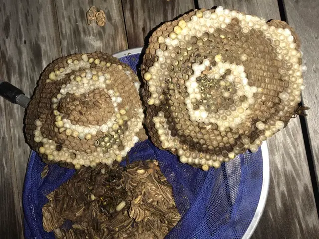 見積無料【徹底駆除】適正価格／実績多数／カード対応／損保加入／プライバシー厳守サービスの画像