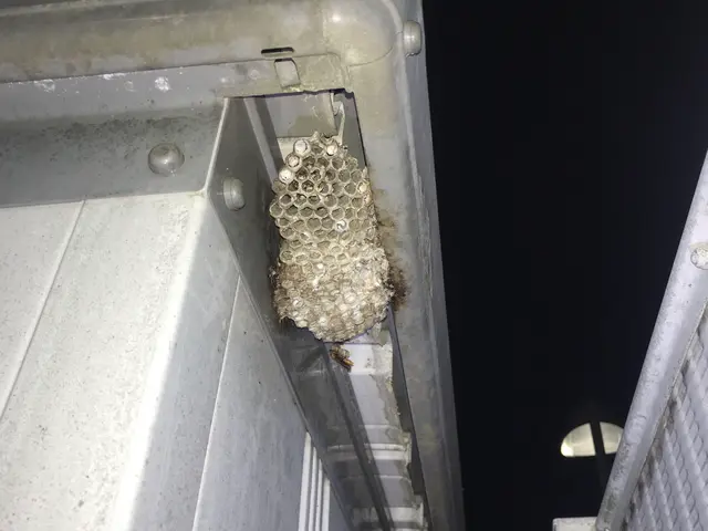 見積無料【徹底駆除】適正価格／実績多数／カード対応／損保加入／プライバシー厳守サービスの画像