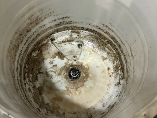 毎日使う洗濯機のお掃除！【臭い・汚れを解消】スッキリしませんか？サービスの画像