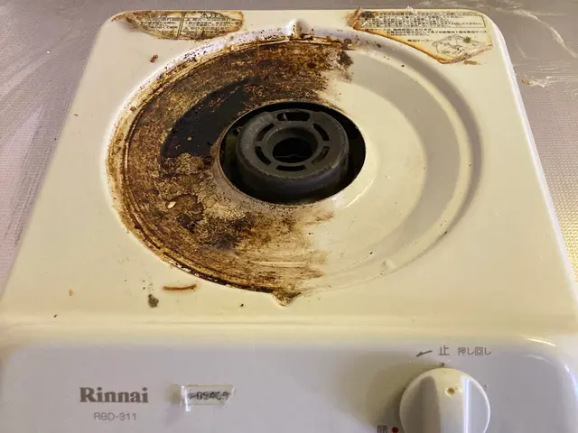 家事代行サービス☆はっぴぃwingサービスの画像