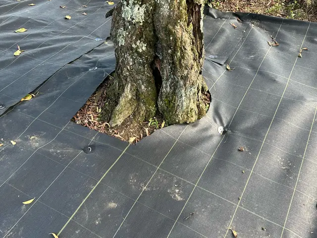やっかいな雑草、大変な雑草作業、面倒な手間、防草シート貼りで対策しませんか？サービスの画像