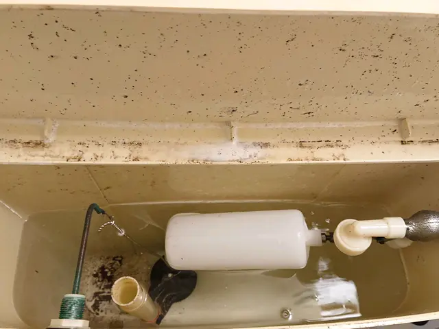 【業歴30年の経験実績！】女性スタッフ同行OK！プロの美装屋 トイレクリーニングサービスの画像