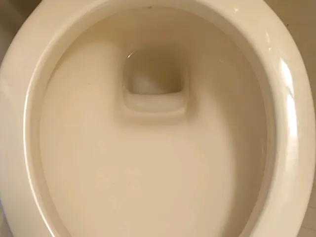 【業歴30年の経験実績！】女性スタッフ同行OK！プロの美装屋 トイレクリーニングサービスの画像