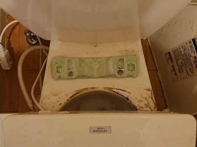 【業歴30年の経験実績！】女性スタッフ同行OK！プロの美装屋 トイレクリーニングサービスの画像