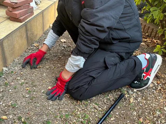 ★神奈川県全域〜一部東京★自分でやるには面倒な草むしりは是非当社へご依頼くださいサービスの画像