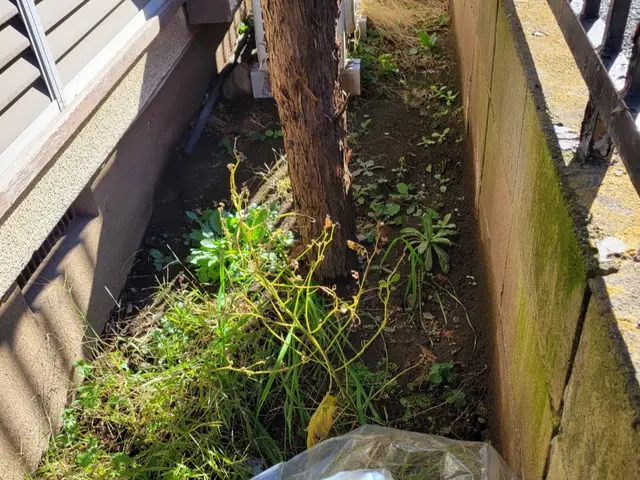 お庭の草むしりとセットで♪落ち葉清掃はいかがですか！オンラインカード決済対応店！サービスの画像