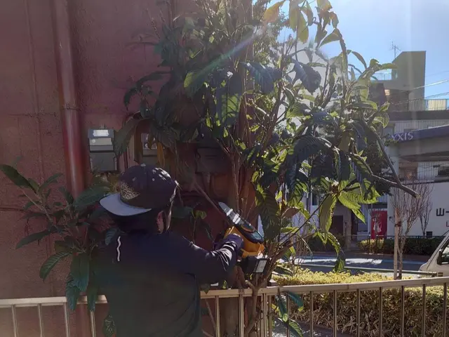 お庭の草むしりとセットで♪落ち葉清掃はいかがですか！オンラインカード決済対応店！サービスの画像