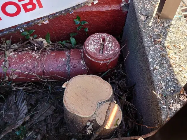 お庭の草むしりとセットで♪落ち葉清掃はいかがですか！オンラインカード決済対応店！サービスの画像