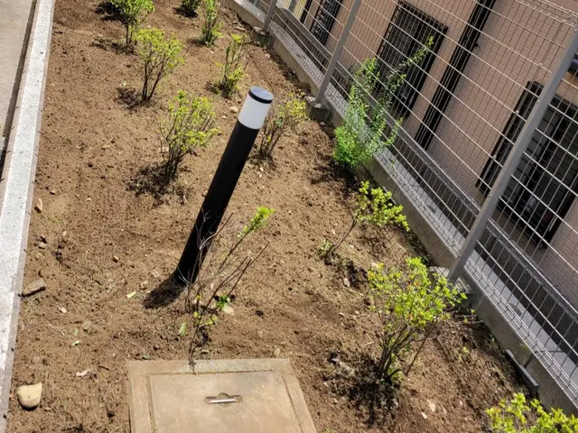 お庭の草むしりとセットで♪落ち葉清掃はいかがですか！オンラインカード決済対応店！サービスの画像