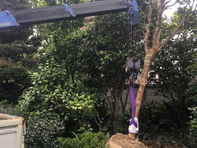 業歴19年以上★1本からでも大歓迎★緑や庭のことならお任せ下さい★一級造園技能士サービスの画像