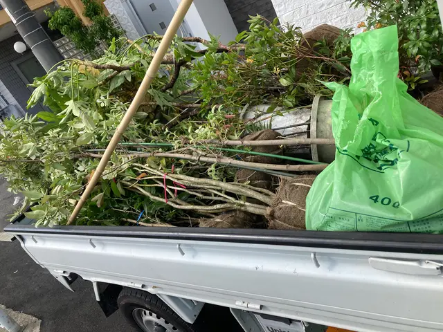 業歴19年以上★1本からでも大歓迎★緑や庭のことならお任せ下さい★一級造園技能士サービスの画像