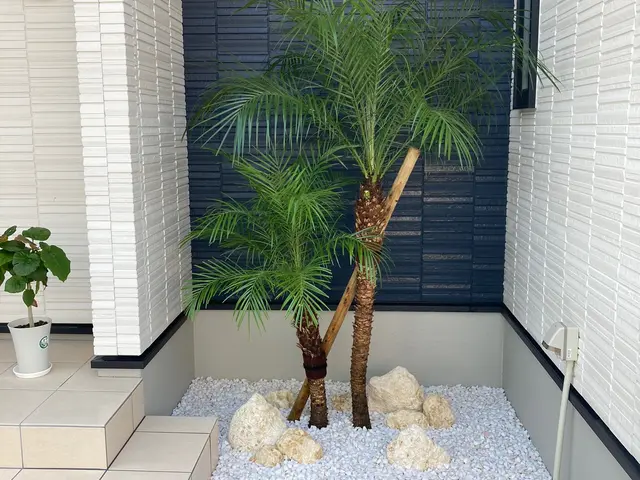 業歴19年以上★1本からでも大歓迎★緑や庭のことならお任せ下さい★一級造園技能士サービスの画像