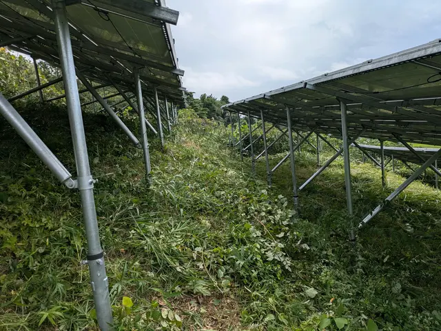 【大規模案件も対応可能！】実績と確かな技術で笑顔をお届けサービスの画像