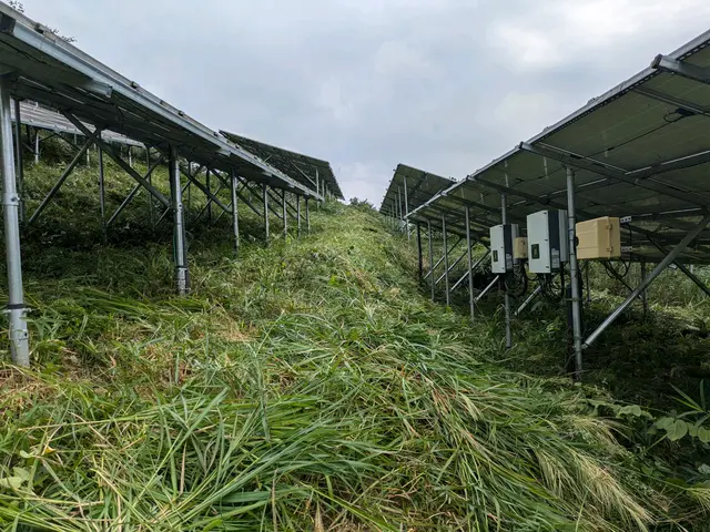 【大規模案件も対応可能！】実績と確かな技術で笑顔をお届けサービスの画像