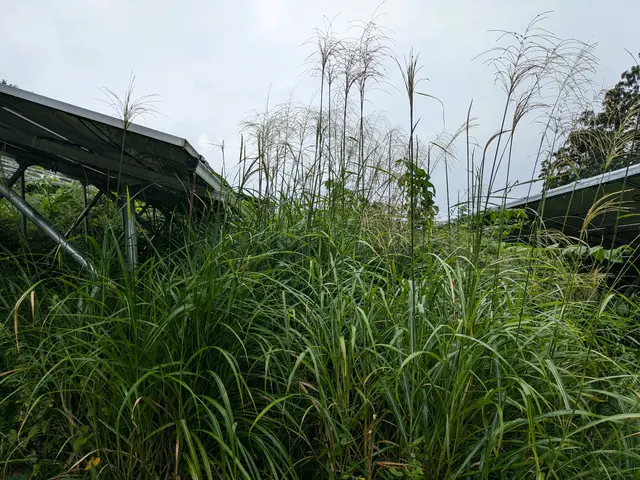 【大規模案件も対応可能！】実績と確かな技術で笑顔をお届けサービスの画像