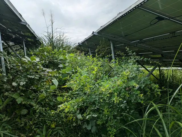 【大規模案件も対応可能！】実績と確かな技術で笑顔をお届けサービスの画像