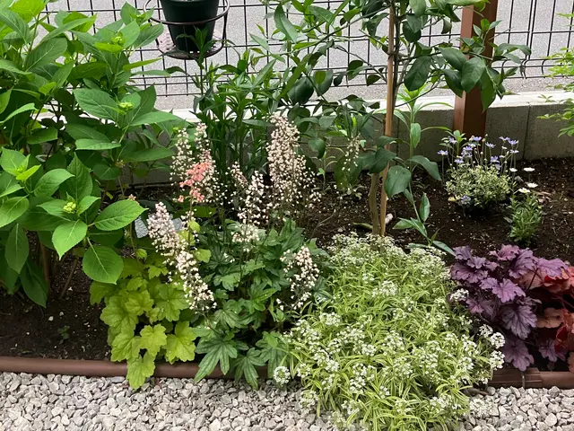 旅行中、留守中、体調不良時の植物の水やりは、おまかせください。サービスの画像