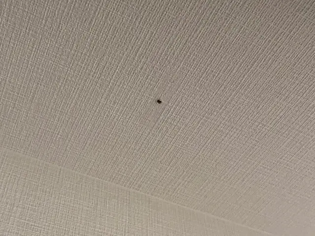 ☆ビス穴補修無料☆商品も格安販売可能☆養生・清掃徹底　★20年の実績★サービスの画像