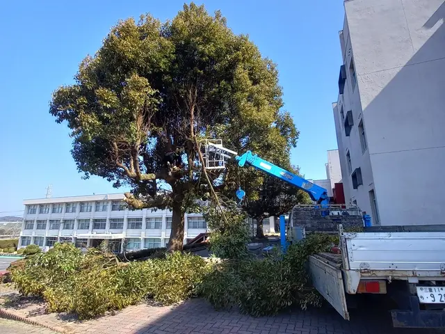 [庭師歴16年]　写真見積り可！自衛隊施設学校など施工経験ありの安心実績！サービスの画像