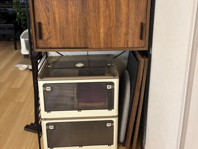 【お片付け専門】年内限定1時間3300円！モノ探しの時間が減る！を一緒に叶えますサービスの画像