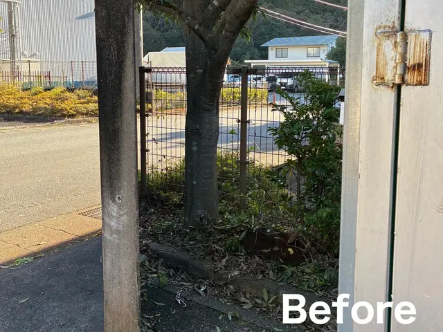 【11月出店】林業経験10年☆高所作業可能！サービスの画像