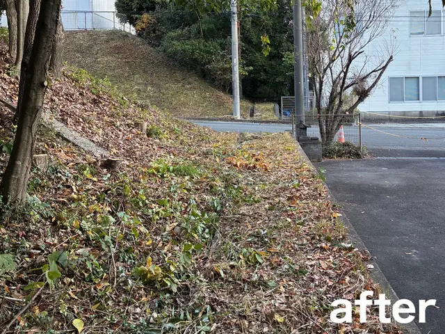 【11月出店】林業経験10年☆高所作業可能！サービスの画像