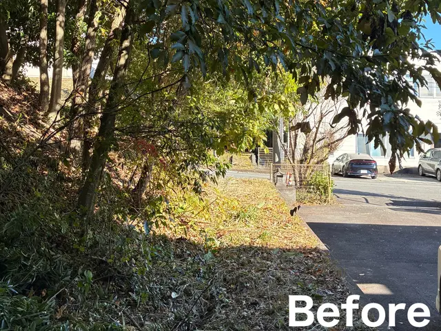 【11月出店】林業経験10年☆高所作業可能！サービスの画像