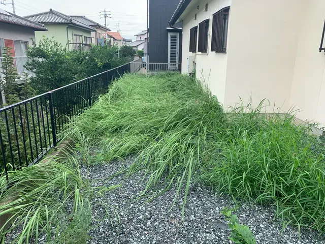 《地域密着！立ち合いなしも可》安心・丁寧・迅速対応！お庭の草むしり除草サービスサービスの画像