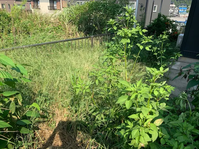 《地域密着！立ち合いなしも可》安心・丁寧・迅速対応！お庭の草むしり除草サービスサービスの画像
