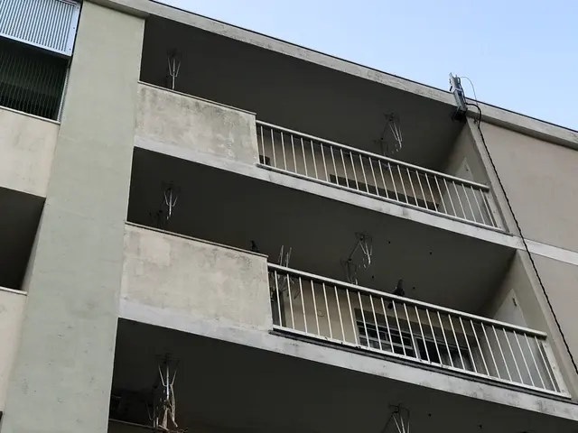 清掃消毒＋防鳥ネット／見積無料／適正価格／カード.QR決済可／プライバシー厳守サービスの画像