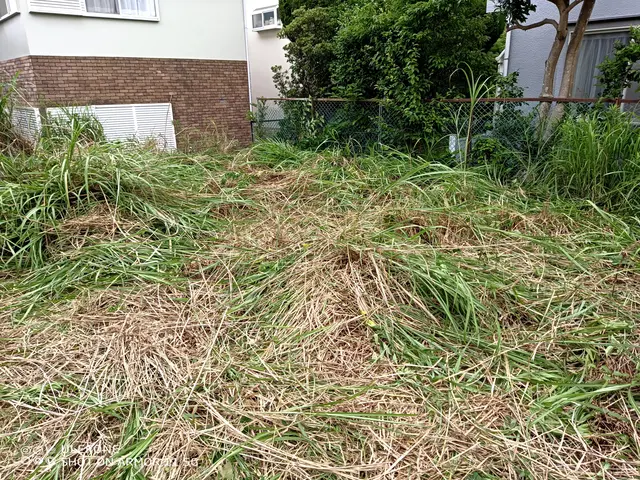 お庭のお手入れ　草刈りサービスの画像