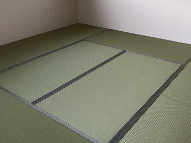 畳表替え　標準タイプサービスの画像