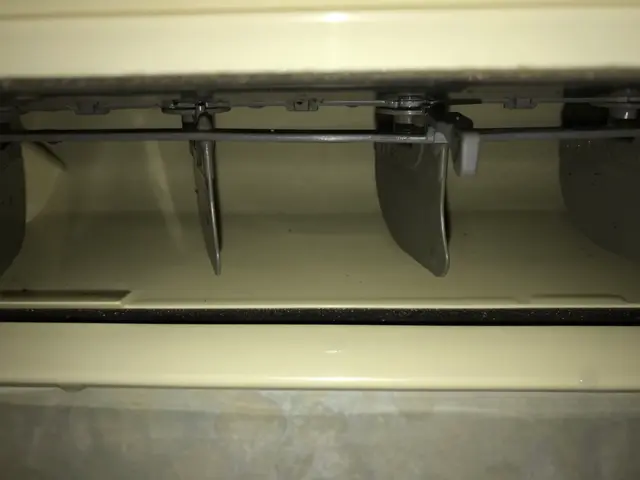 夏季キャンペーン中サービスの画像