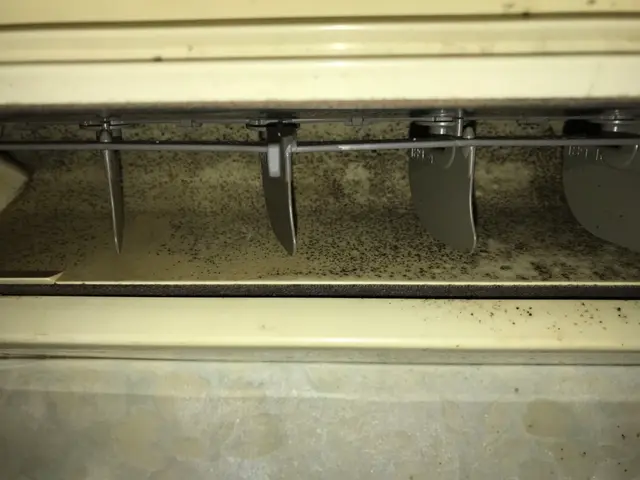 夏季キャンペーン中サービスの画像