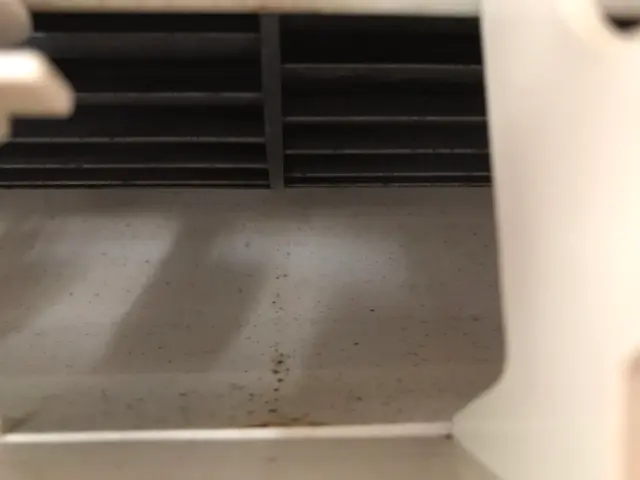 夏季キャンペーン中サービスの画像