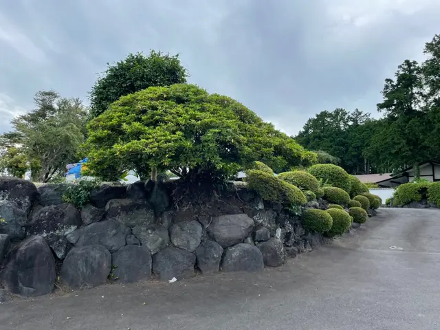 土日祝も作業ok。paypay決済もok。空き日程無くてもご相談下さい。サービスの画像