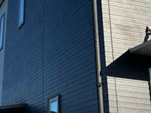 蔦(ツタ)の除去サービスの画像