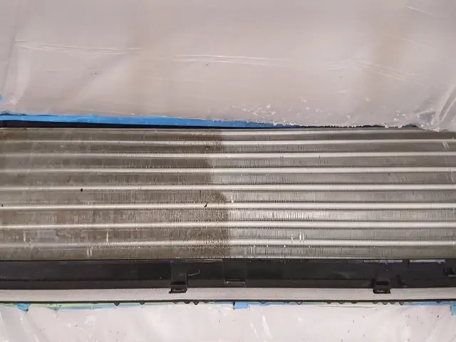 (新潟)お子様、ペットにも安心のエコ洗剤を使用しています！作業は店長が行いますサービスの画像