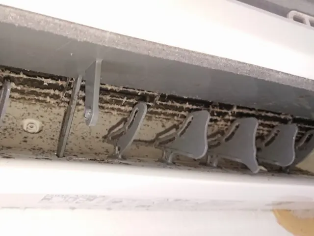 (新潟)お子様、ペットにも安心のエコ洗剤を使用しています！作業は店長が行いますサービスの画像