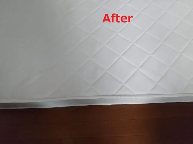 【大分県】安心安全なアルカリイオン洗浄水を使用した出張マットレスクリーニング！サービスの画像