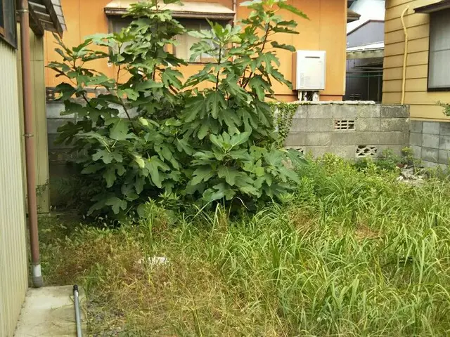 【経験年数20年】安心の女性スタッフ対応！外注ナシ！営業時間外のご予約も相談可◎サービスの画像