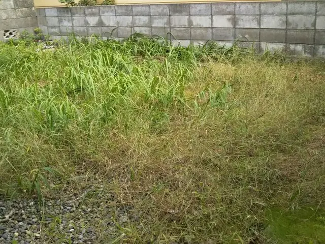 【経験年数20年】安心の女性スタッフ対応！外注ナシ！営業時間外のご予約も相談可◎サービスの画像